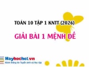 Giải chi tiết Toán 10 Bài 1: Mệnh đề (Kết nối tri thức)